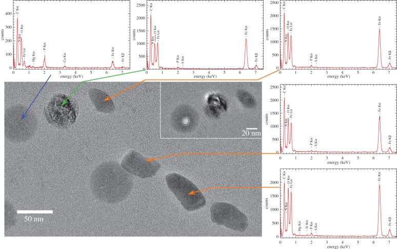 Figure 3.