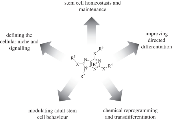 Figure 3.