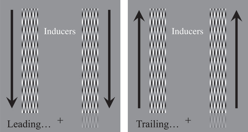 Fig. 9