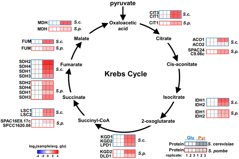 Figure 4: