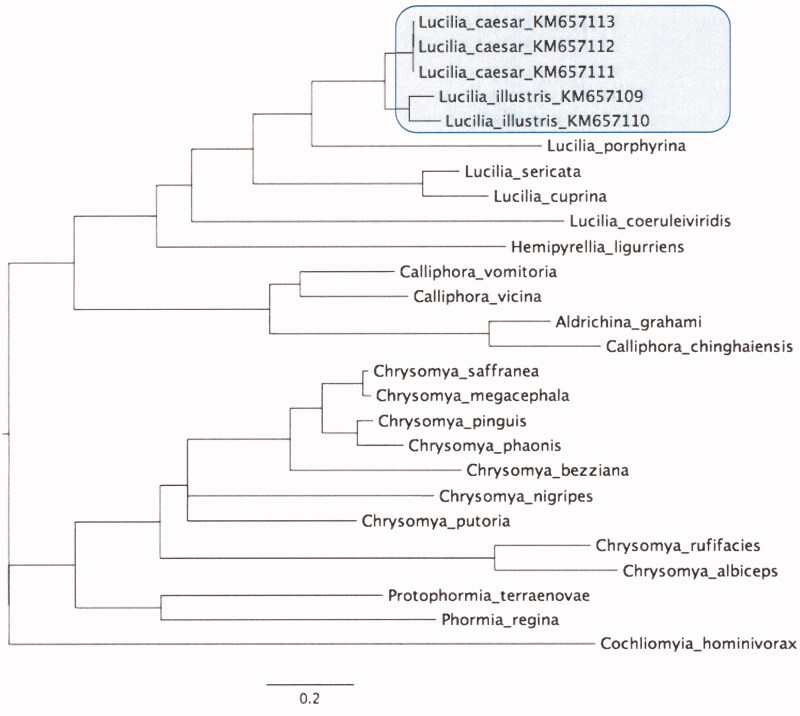 Figure 1.