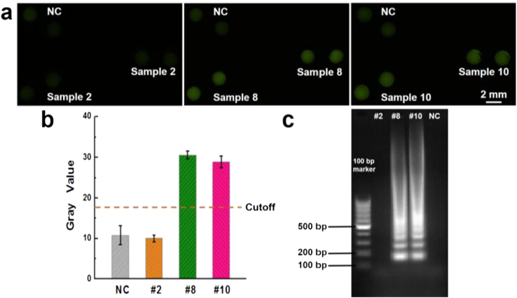 Fig. 4