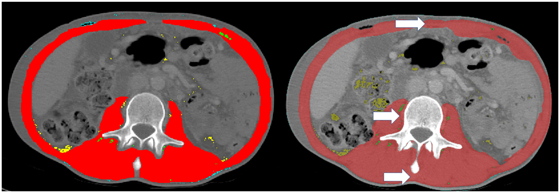 Figure 2: