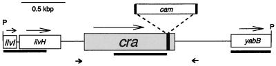 FIG. 1