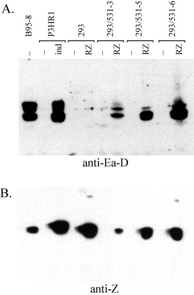 FIG. 9