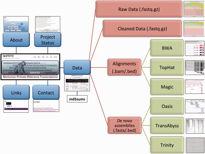 Figure 3.