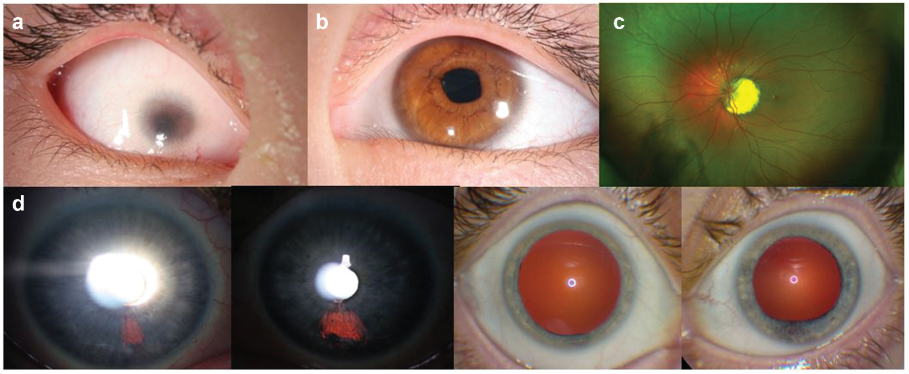 Figure 2.