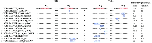 FIG. 2.