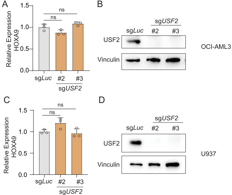 Figure 5—figure supplement 2.