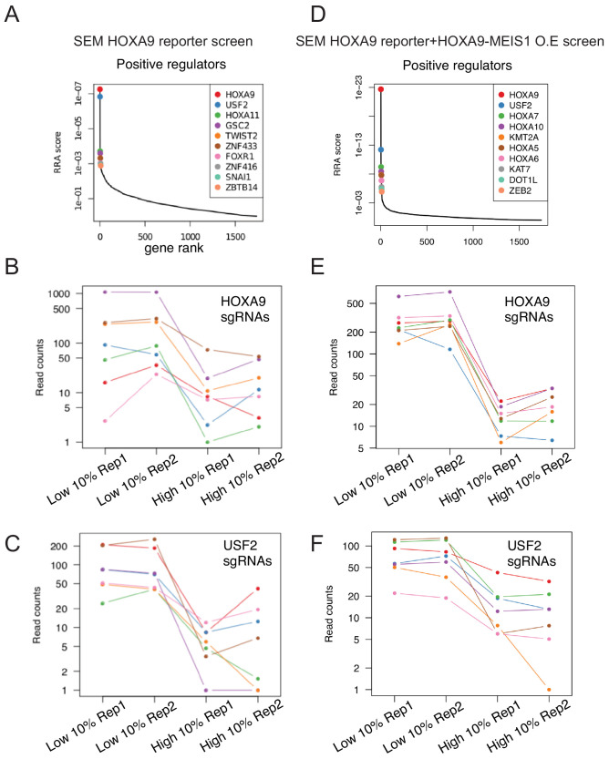 Figure 3—figure supplement 1.