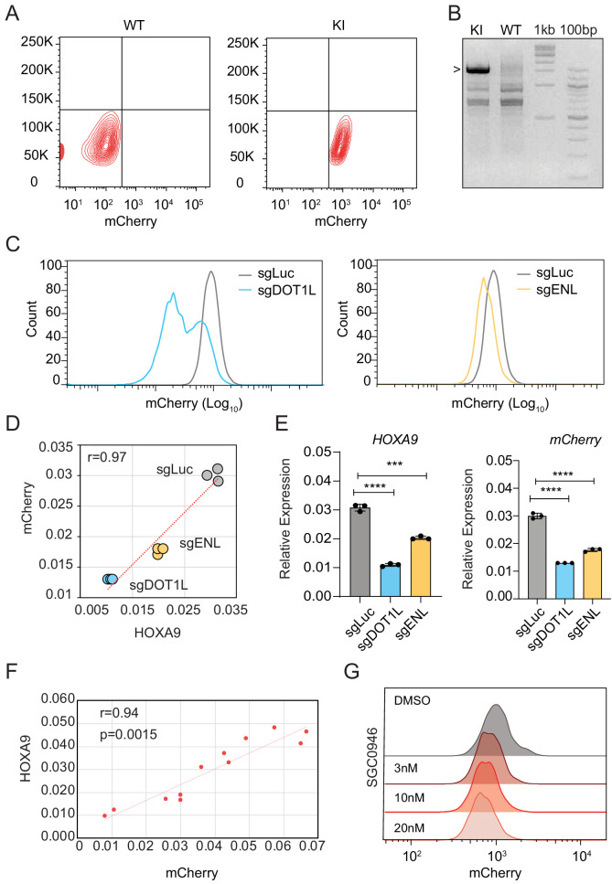 Figure 2—figure supplement 1.