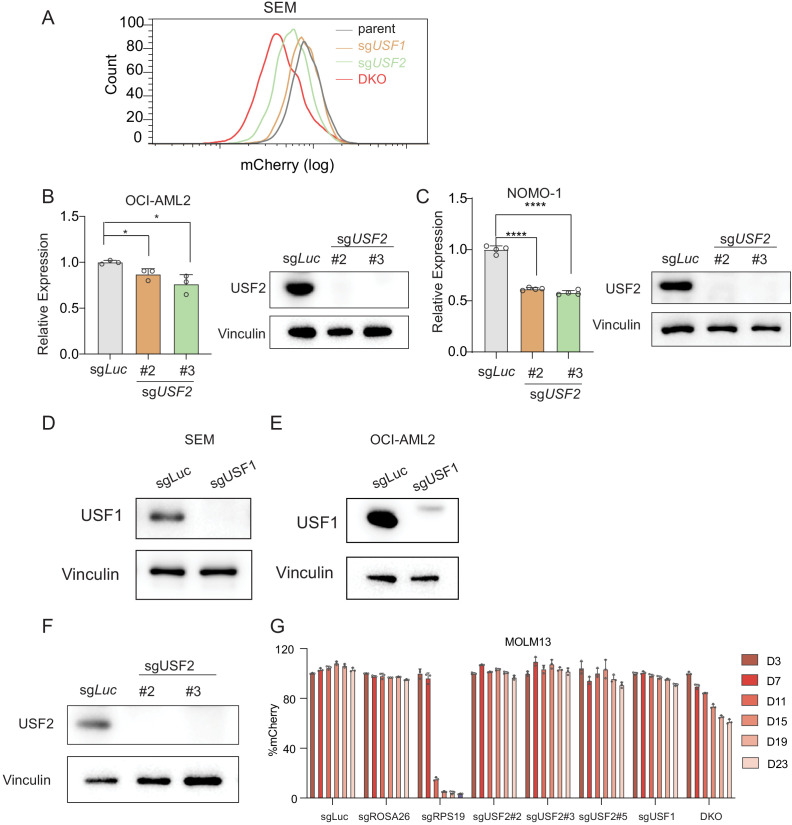 Figure 5—figure supplement 1.