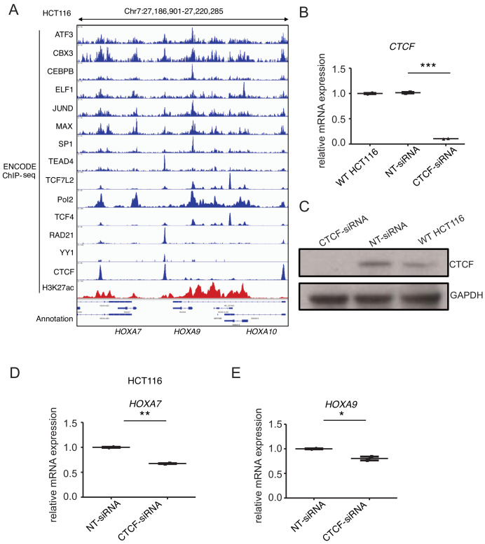 Figure 3—figure supplement 3.