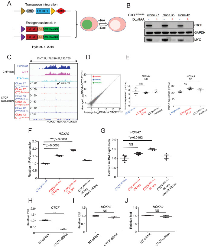 Figure 3—figure supplement 2.