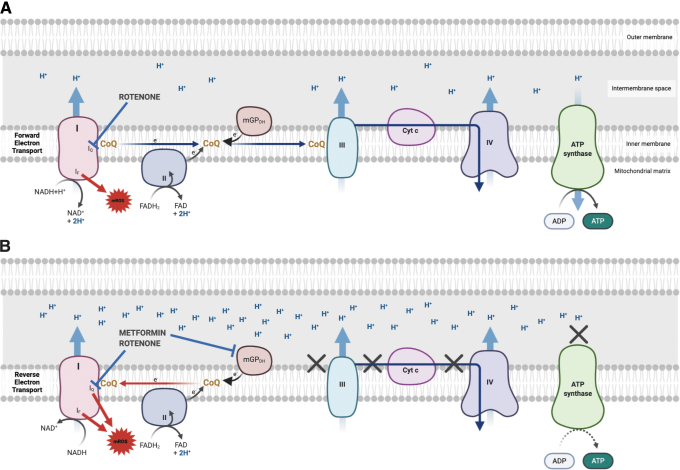 FIG. 6.