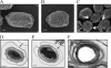 FIG. 8.