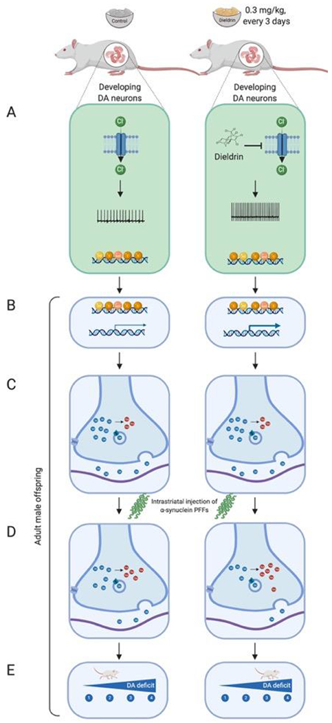 Figure 10: