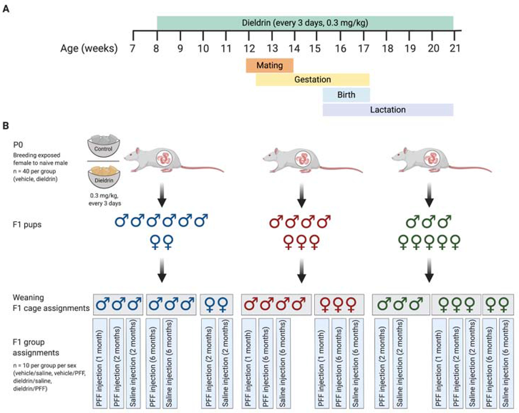 Figure 1: