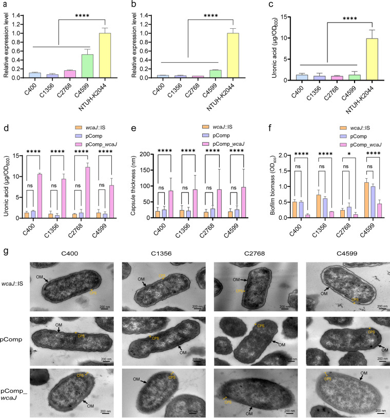 FIG 3