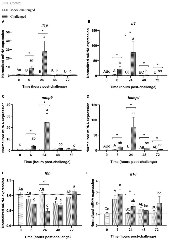 Figure 4