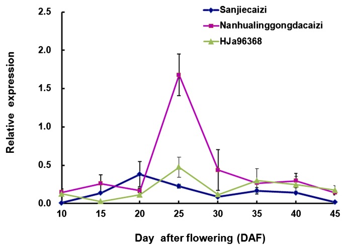 Fig. 3