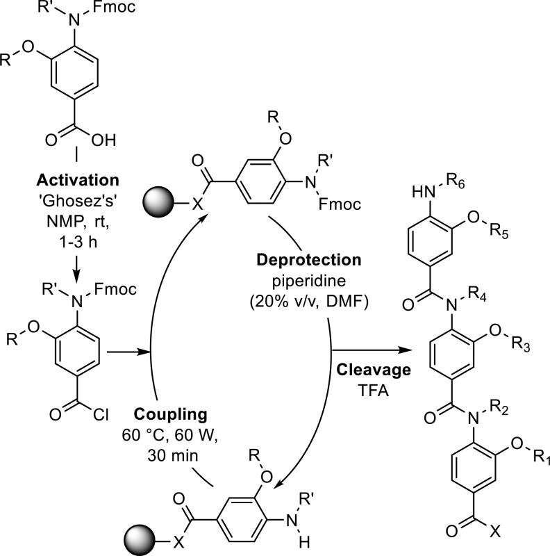 Scheme 3