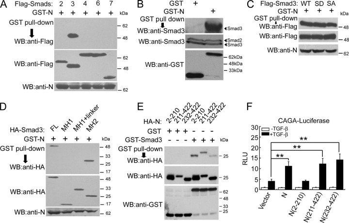 FIGURE 3