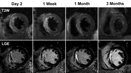 Figure 3: