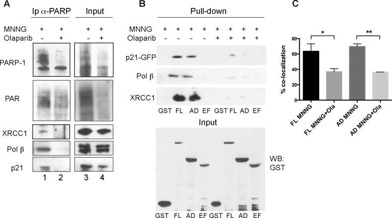 Fig 4