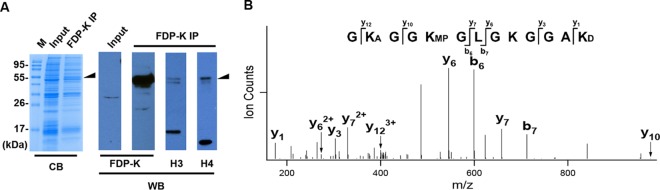 FIG 2