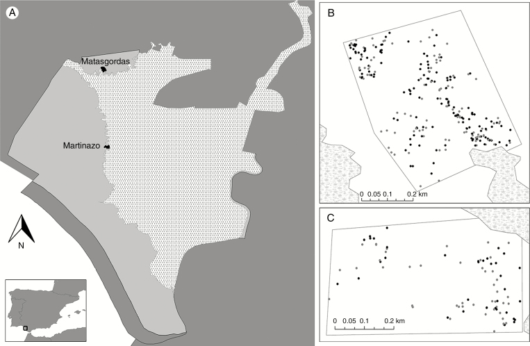 Fig. 2.