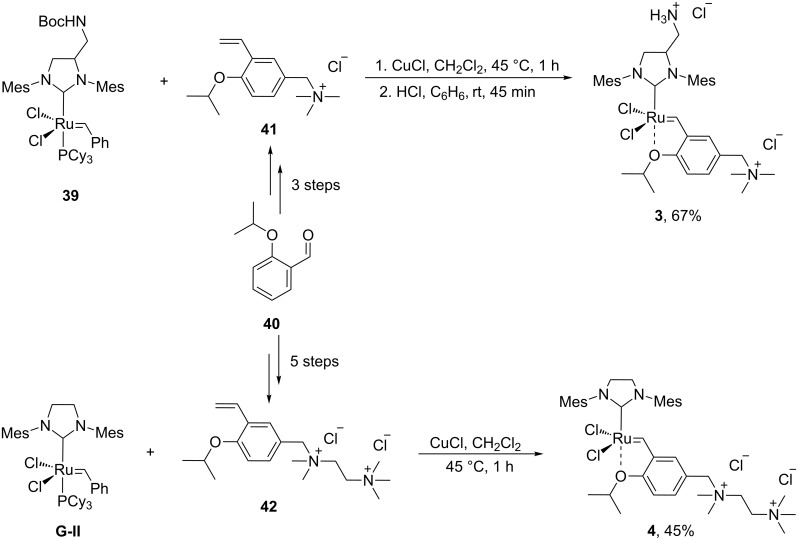 Scheme 9