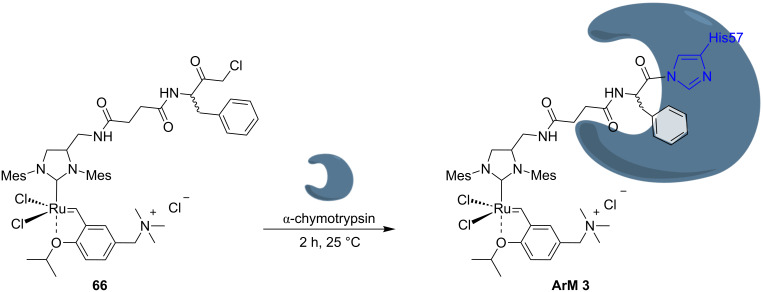 Scheme 14