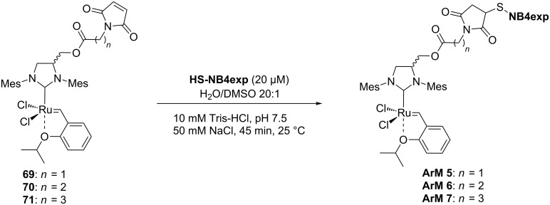 Scheme 16