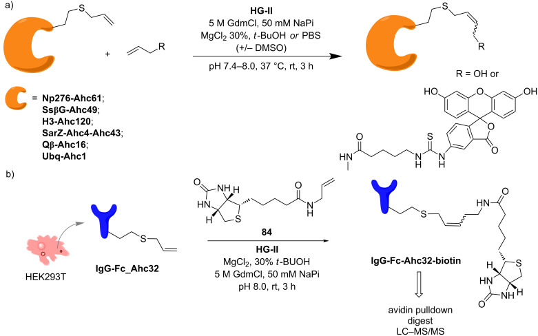 Scheme 19