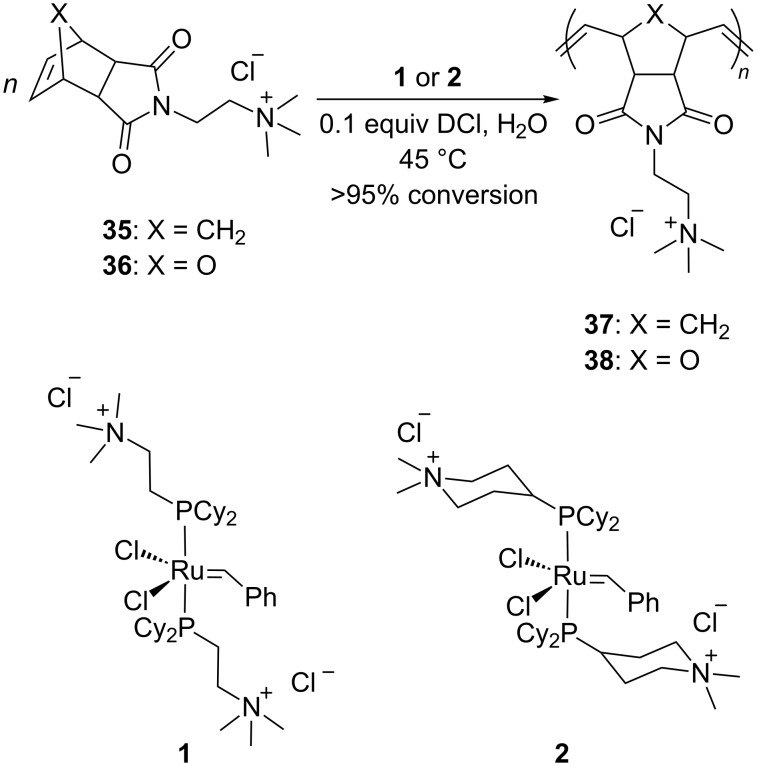 Scheme 8