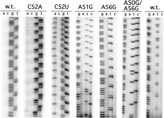 FIG. 6