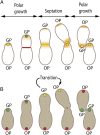 Fig. 6.