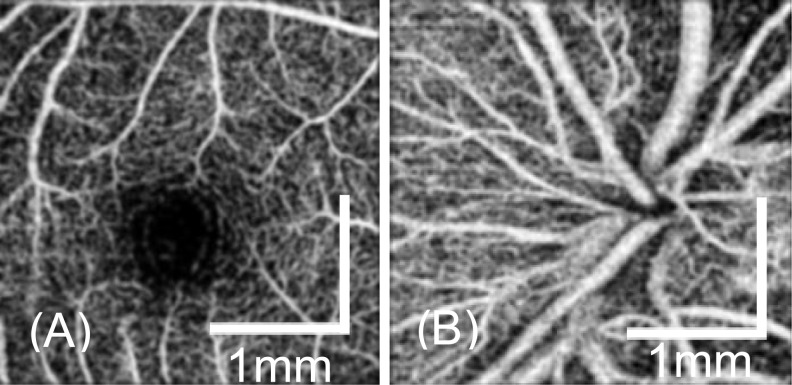 Fig. 10