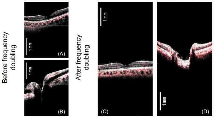 Fig. 9