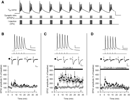 Figure 2