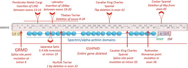 Fig. 5