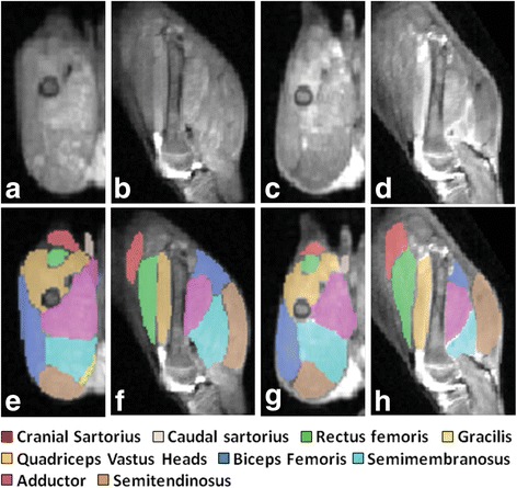 Fig. 8