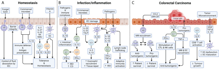 Figure 2