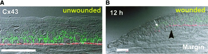 Figure 12.