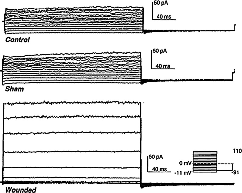 Figure 5.