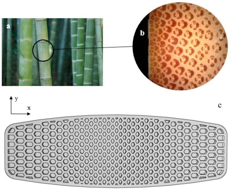 Figure 20