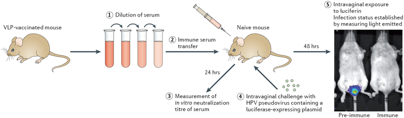 Figure 2 |