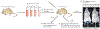 Figure 2 |