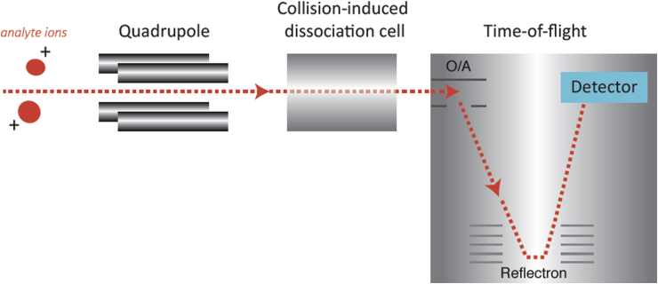 Figure 4